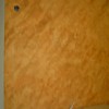 DSC00299